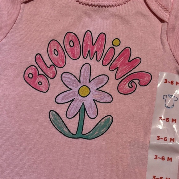 NEW! NWT Baby Girl Old Navy Pink & Floral Baby Onesies Spring 3-6mo Set of 2 Lot - Picture 8 of 10